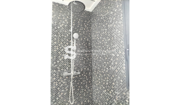 Nouvelle construction - detached - Pilar de la Horadada